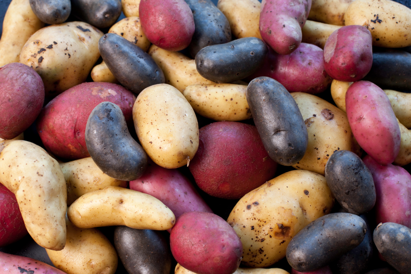 Potatoes No Longer Wearing White: French Potato Salad Recipe