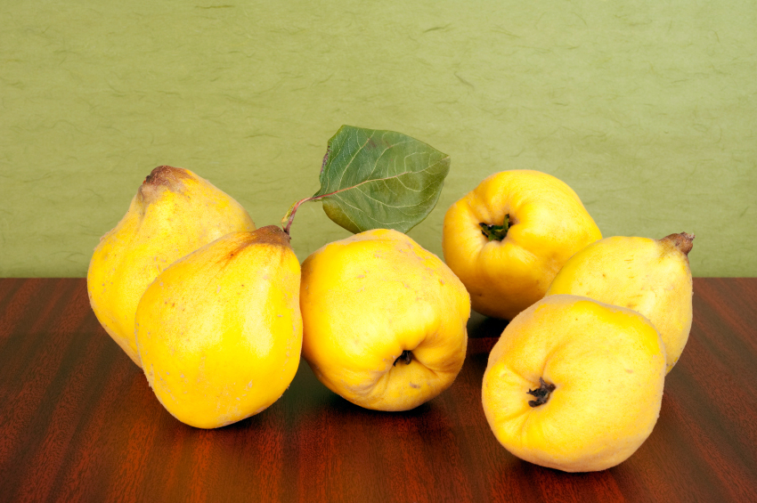 Falling for Quince