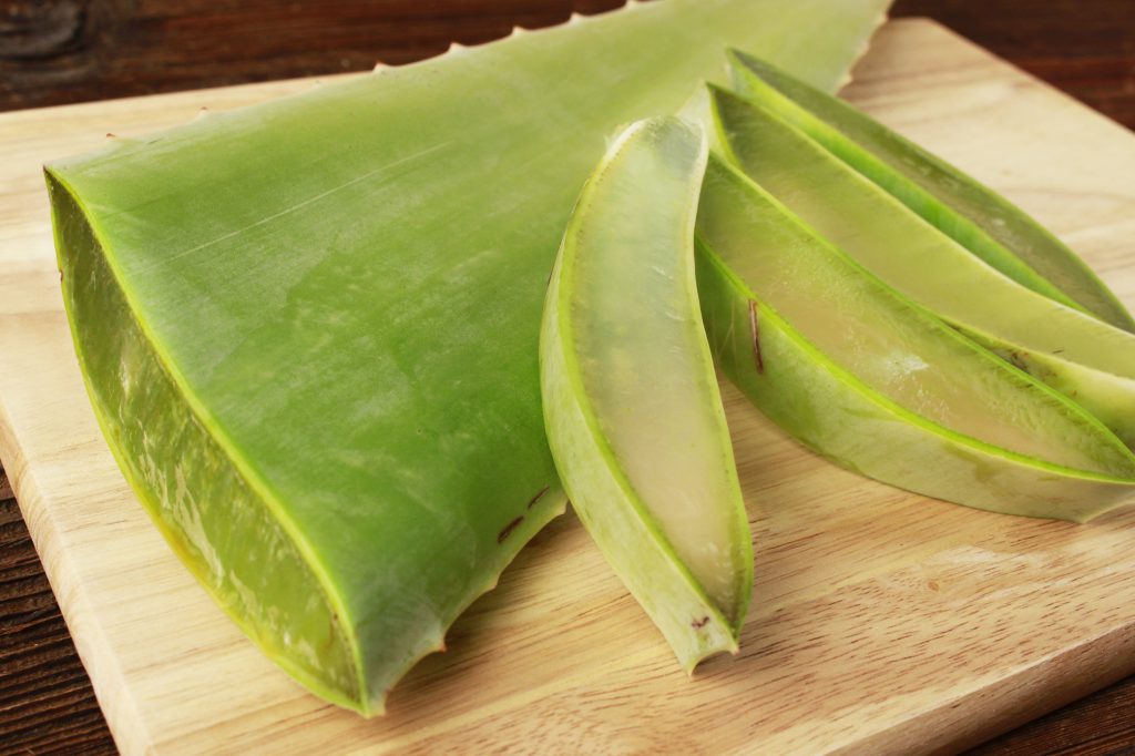 How To Remove The Gel From An Aloe Vera Leaf 8996