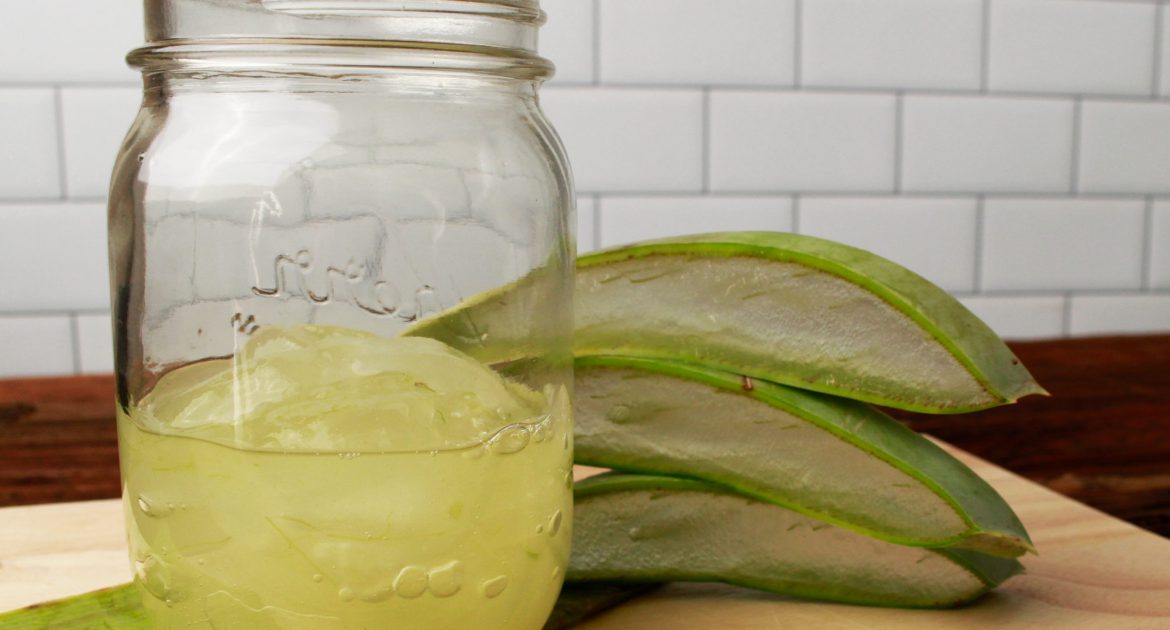 3 Ways to Use Fresh Aloe Vera