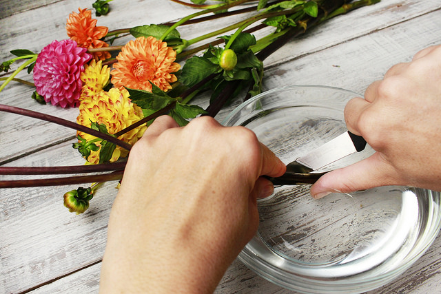 How to cut flower stems