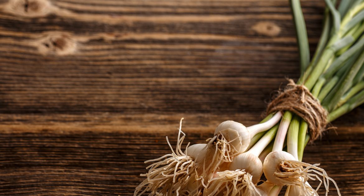 Recipe Roundup: Green Garlic