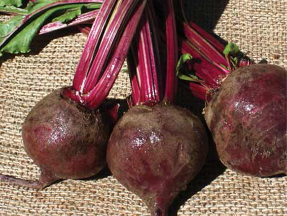 bunch red beets
