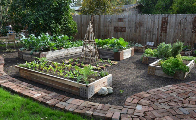 gardening with raised beds
