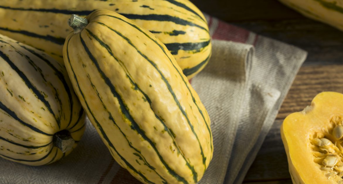 Fall in Love with Delicata