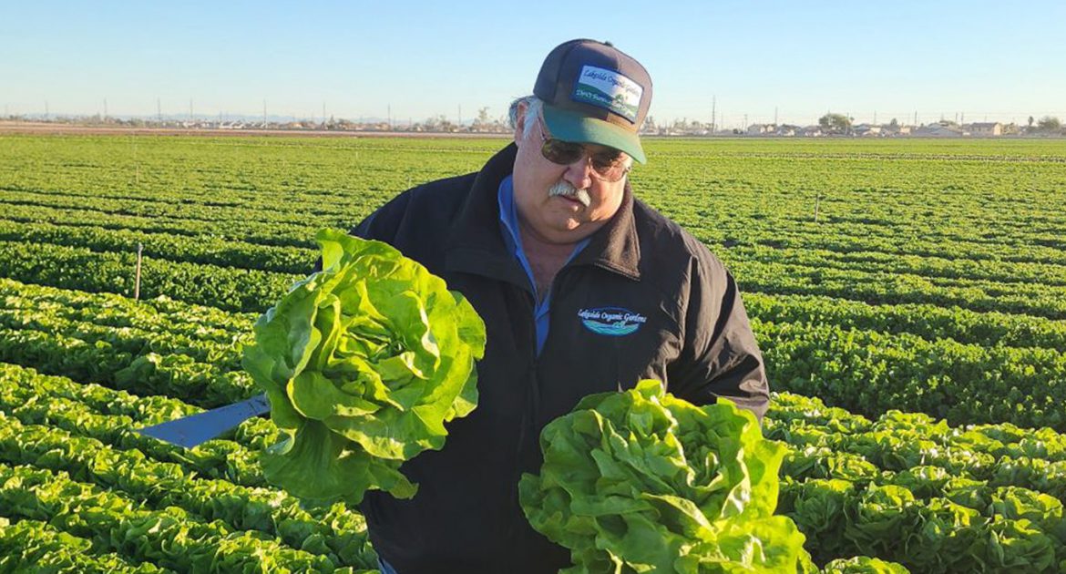 Farming in Harmony at Lakeside Organic Gardens