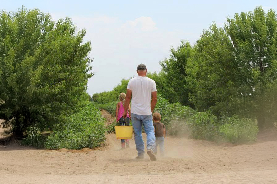 Valliwide Organic Farms