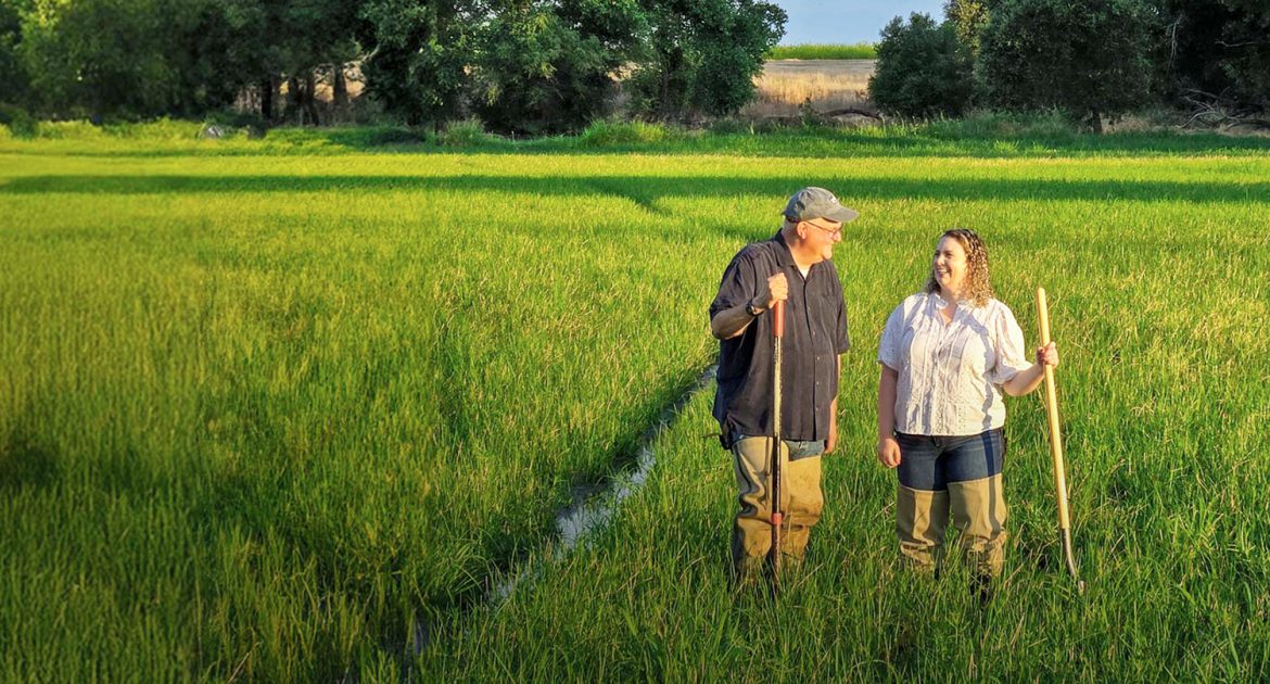 Lundberg Family Farms