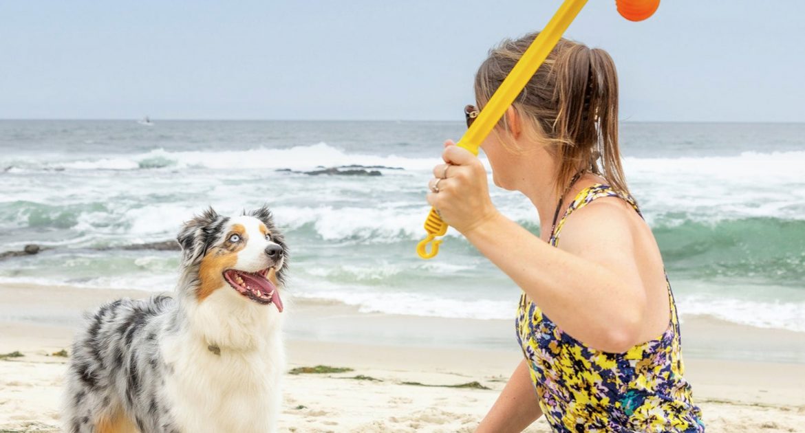 Celebrate National Love Your Pet Day