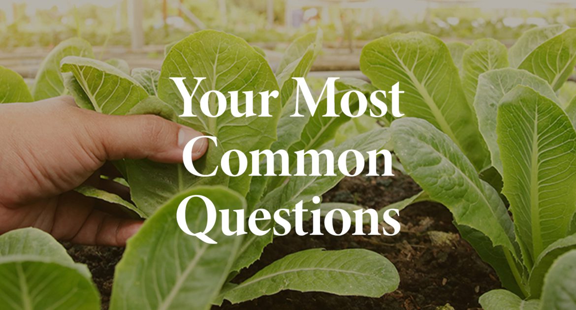 Your Most Common Questions