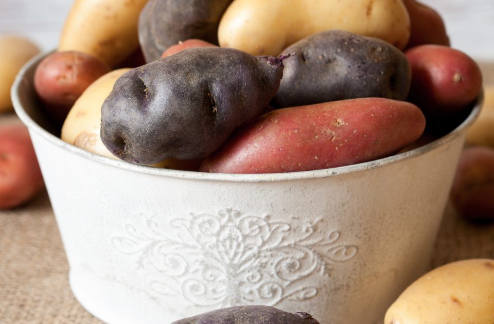 All About Fingerling Potatoes