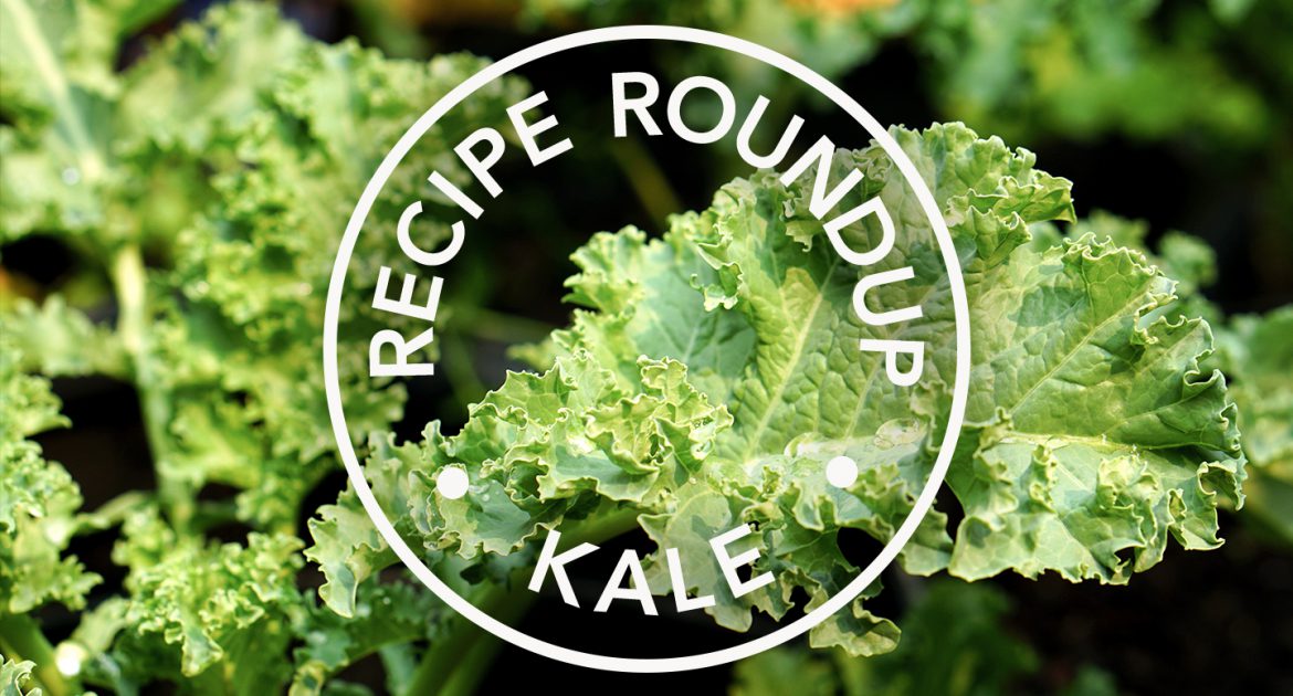 Recipe Roundup: Kale